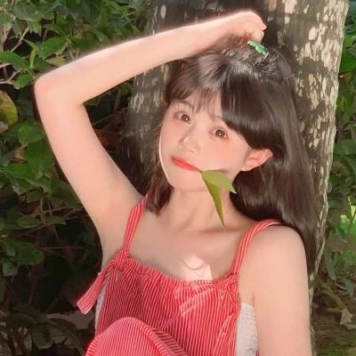 武装突袭大师手机版下载